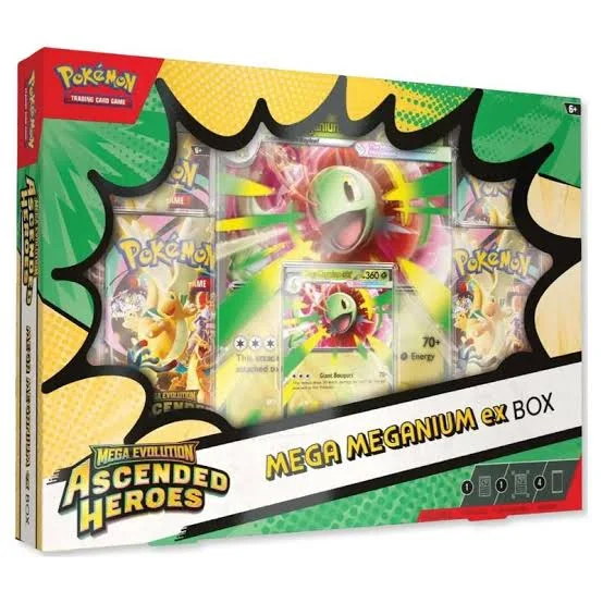 Mega Meganium Ex Box